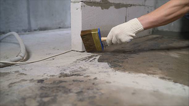 Top rated local Waterproofing specialists in Mitchells, VA